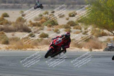 media/Apr-10-2022-SoCal Trackdays (Sun) [[f104b12566]]/Turn 5 Tree of Life (1040am)/